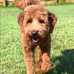 Meet your Posher, Karen